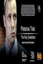 Watch Pistorius Trial: The Key Questions Nowvideo