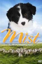 Watch Mist: The Tale of a Sheepdog Puppy Nowvideo
