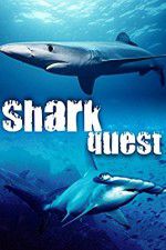 Watch Shark Quest Nowvideo