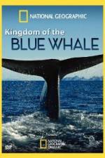 Watch National Geographic Kingdom of Blue Whale Nowvideo