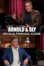 Watch Arnold & Sly: Rivals, Friends, Icons Nowvideo