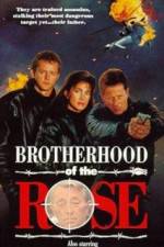 Watch Brotherhood of the Rose Nowvideo