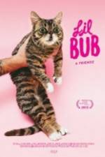 Watch Lil Bub & Friendz Nowvideo