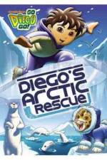 Watch Go Diego Go: Diego's Arctic Rescue Nowvideo