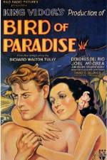 Watch Bird of Paradise Nowvideo