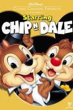 Watch Chip an' Dale Nowvideo
