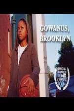 Watch Gowanus, Brooklyn Nowvideo