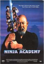 Watch Ninja Academy Nowvideo