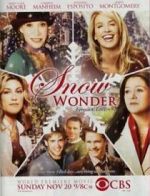 Watch Snow Wonder Nowvideo