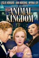 Watch The Animal Kingdom Nowvideo