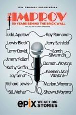 Watch The Improv: 50 Years Behind the Brick Wall (TV Special 2013) Nowvideo