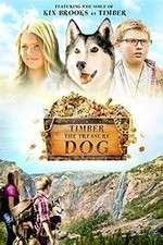 Watch Timber the Treasure Dog Nowvideo