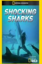 Watch Shocking Sharks Nowvideo