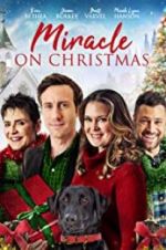 Watch Miracle on Christmas Nowvideo