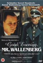 Watch Good Evening, Mr. Wallenberg Nowvideo