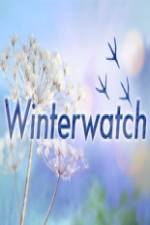 Watch Winterwatch Nowvideo