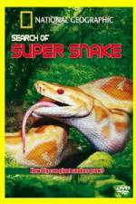 Watch National Geographic Search For The Super Snake Nowvideo