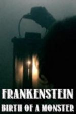 Watch Frankenstein: Birth of a Monster Nowvideo