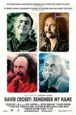 Watch David Crosby: Remember My Name Nowvideo