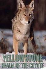 Watch Yellowstone: Realm of the Coyote Nowvideo