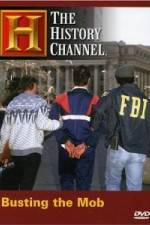 Watch The History Channel: Busting the Mob Nowvideo