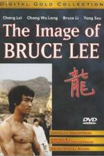 Watch The Bruce Lee Story - (Meng nan da zei yan zhi hu) Nowvideo