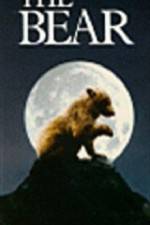 Watch The Bear - (L'ours) Nowvideo