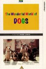Watch The Wonderful World of Dogs Nowvideo