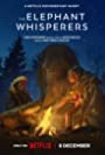 Watch The Elephant Whisperers Nowvideo