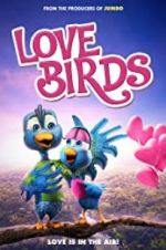 Watch Love Birds Nowvideo