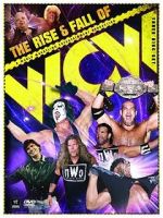 Watch WWE: The Rise and Fall of WCW Nowvideo
