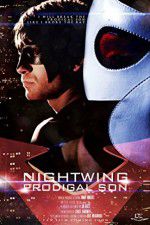 Watch Nightwing Prodigal Son Nowvideo