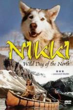 Watch Nikki Wild Dog of the North Nowvideo