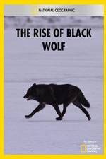 Watch The Rise of Black Wolf Nowvideo