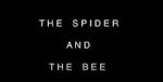 Watch The Spider and the Bee Nowvideo