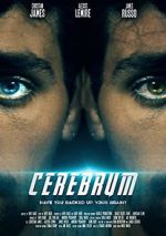 Watch Cerebrum Nowvideo