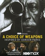 Watch A Choice of Weapons: Inspired by Gordon Parks Nowvideo