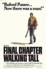 Watch Final Chapter Walking Tall Nowvideo