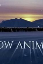 Watch Snow Animals Nowvideo