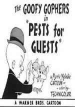 Watch Pests for Guests (Short 1955) Nowvideo