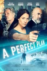 Watch A Perfect Plan Nowvideo