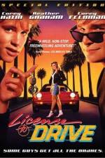 Watch License to Drive Nowvideo