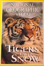 Watch Tigers of the Snow Nowvideo