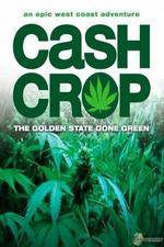 Watch Cash Crop Nowvideo