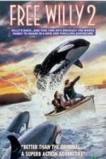 Watch Free Willy 2 The Adventure Home Nowvideo