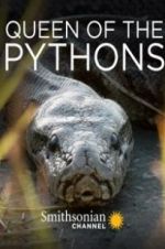 Watch Queen of the Pythons Nowvideo