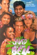 Watch Saved by the Bell Hawaiian Style Nowvideo