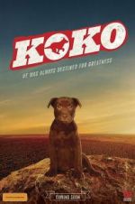 Watch Koko: A Red Dog Story Nowvideo