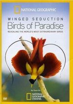 Watch Winged Seduction: Birds of Paradise Nowvideo