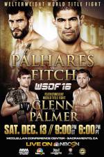 Watch World Series of Fighting 16 Palhares vs Fitch Nowvideo